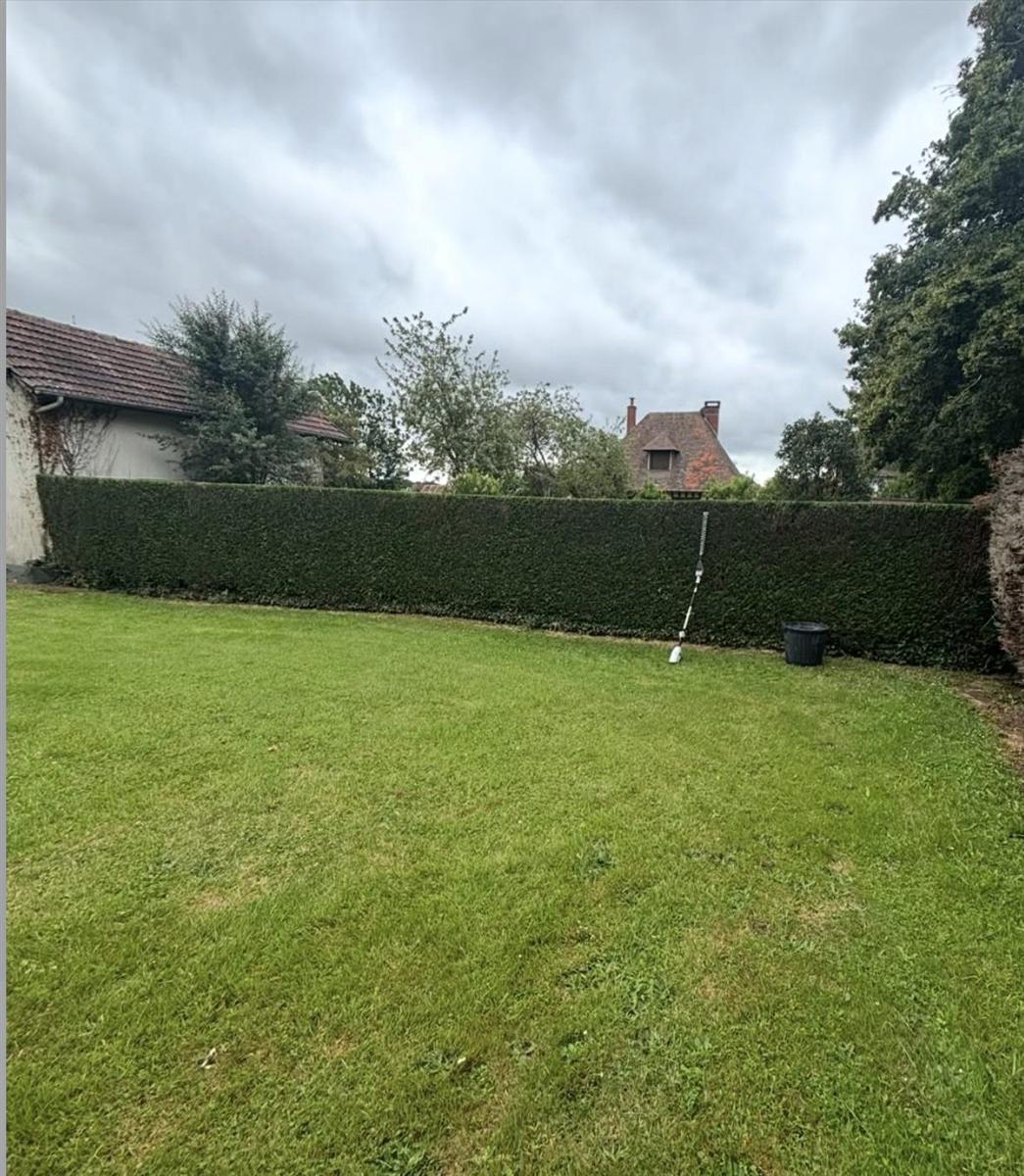 Haie de thuyas taillée à hauteur régulière et pelouse tondue dans un jardin de particulier