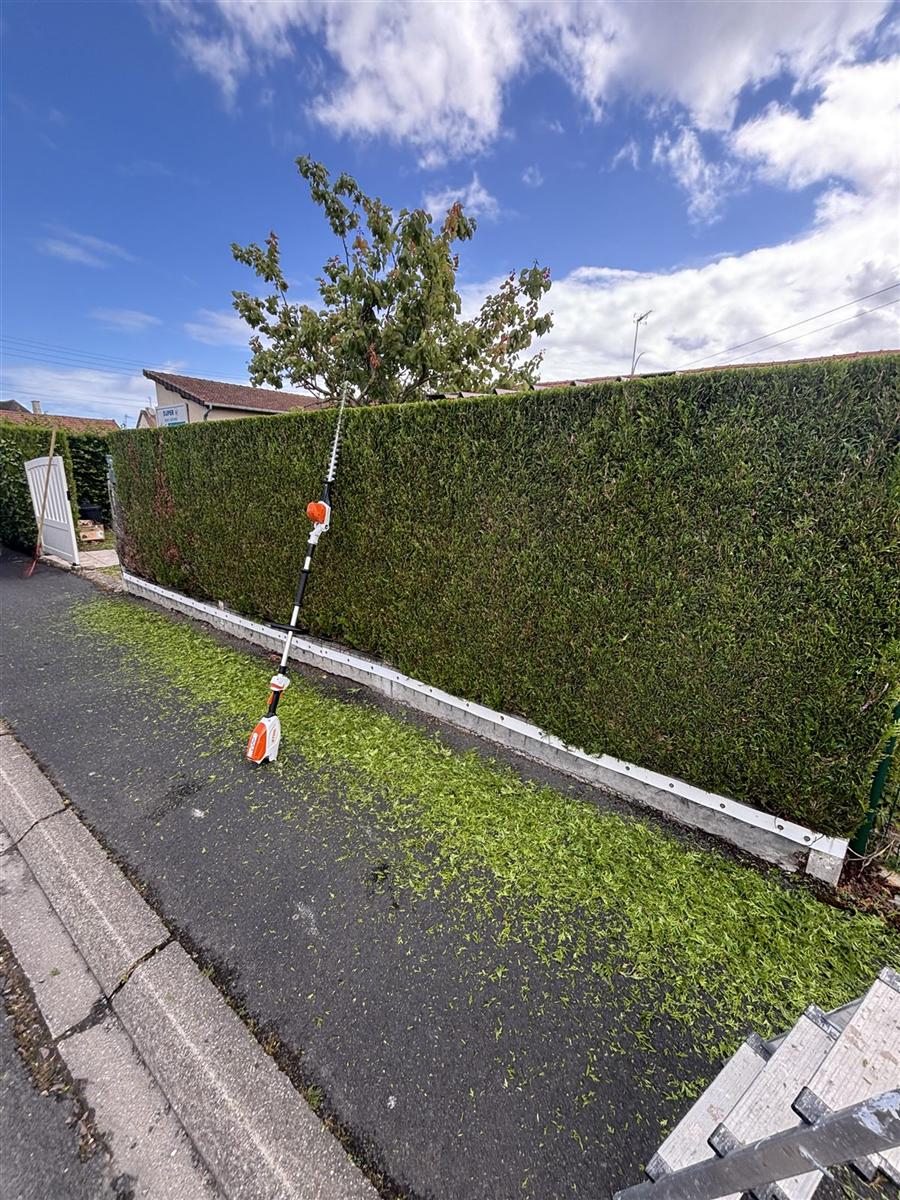 Taille de haie en bordure de rue au taille-haie sur perche, coupe droite et nette